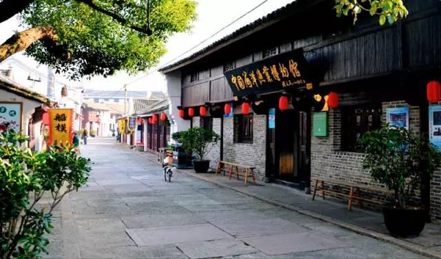 红色鹦鹉逃脱